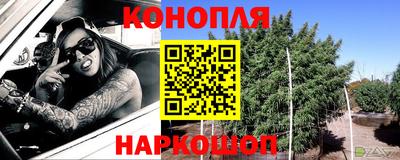 Альфа ПВП Будённовск